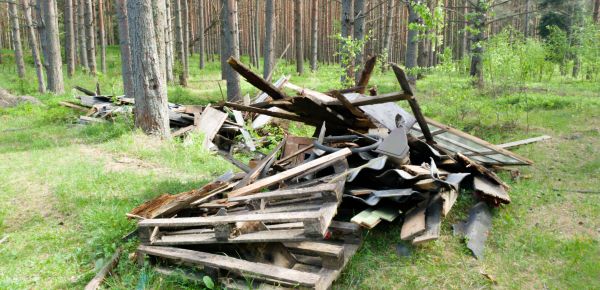 Debris Removal Service in Oroville